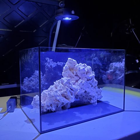 Product Review: Reef Casa Studio 12 All In One Saltwater Aquarium Kit