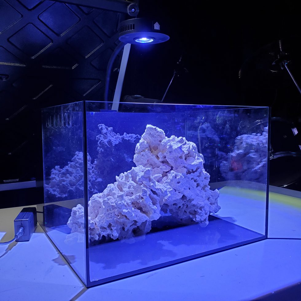 Studio 12 Saltwater Aquarium Kit   Reef Casa