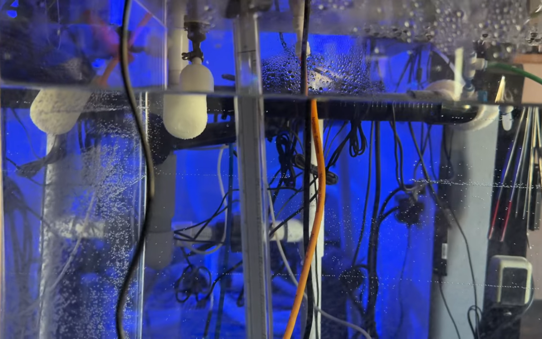 Calibrating the Apex LLS 23” (liquid level sensor)