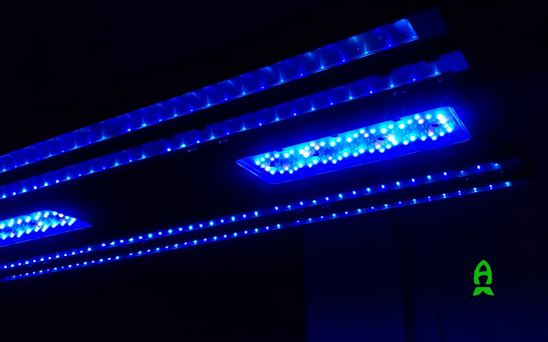 First look into the A.I. Blade