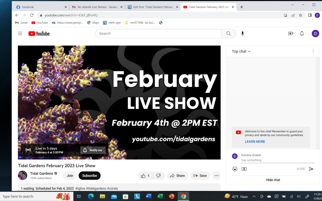 Tidal Gardens February 4, 2023 Live Show
