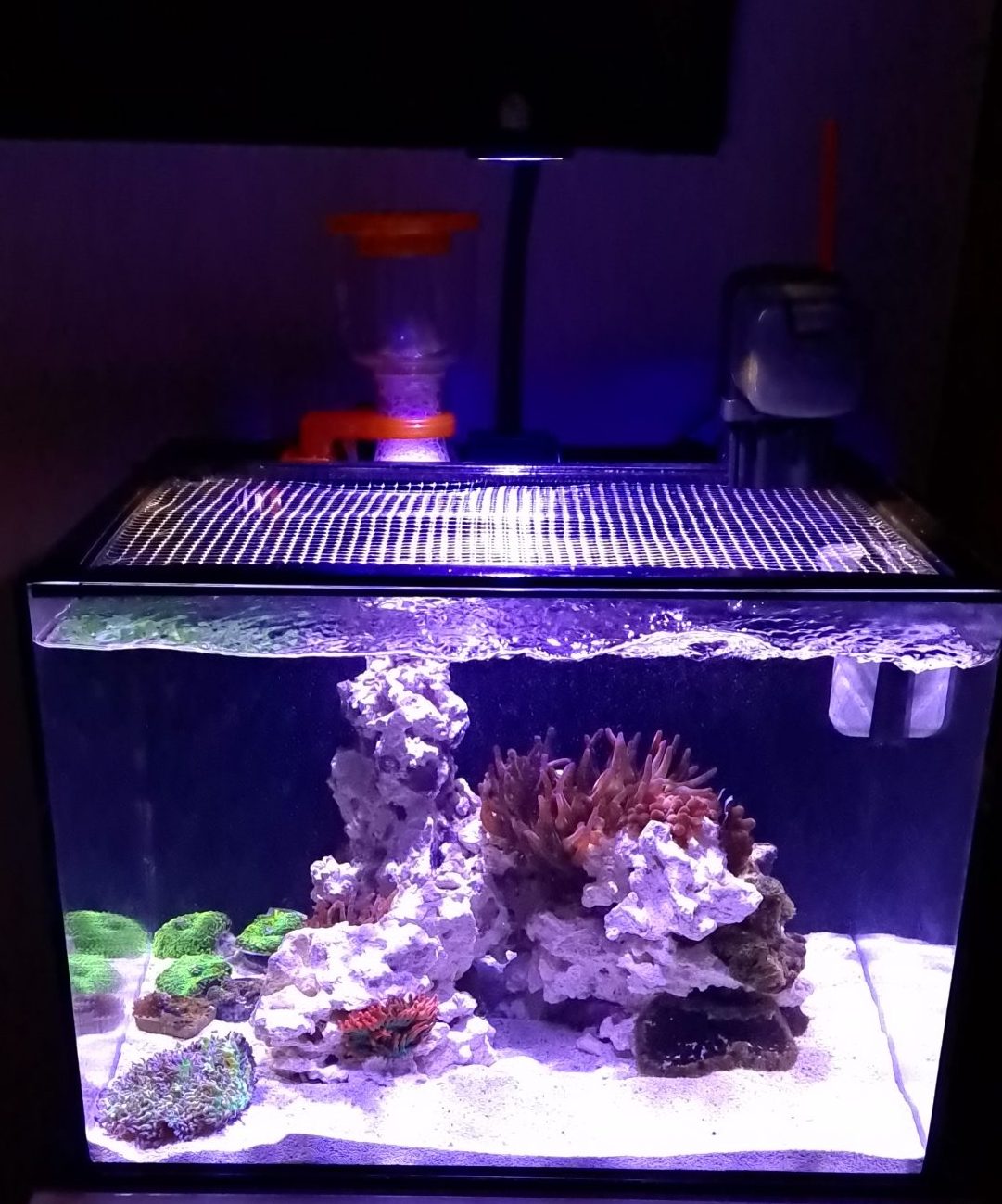 Product Update: Setting Up the Reef Casa Studio 12 Saltwater