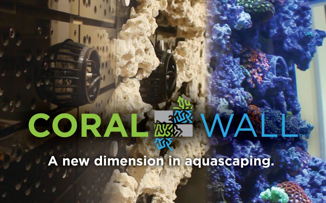 New Product Announcement: CoralWall