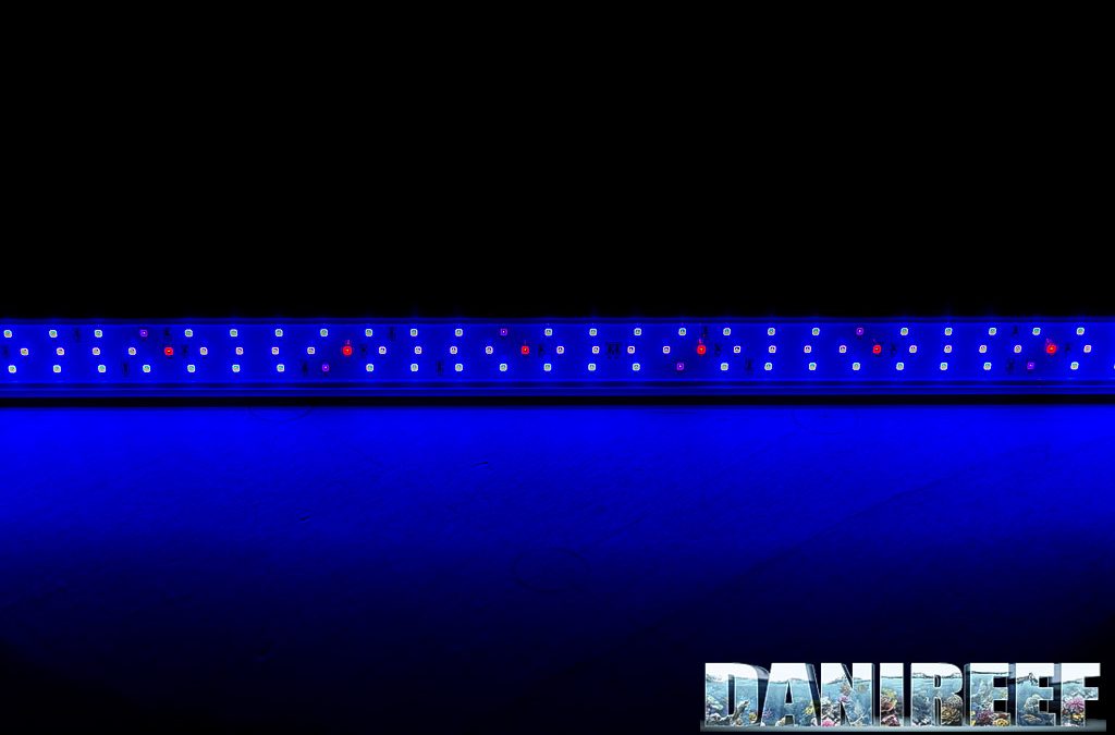 LED ASF Proten Led Reef Blue bars in our DaniReef LAB – review