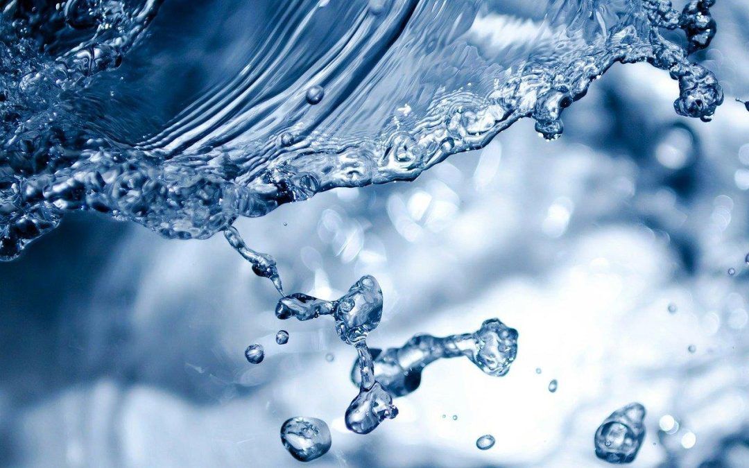 Tiers of Water Parameter Understanding – Tier 1: The Basics