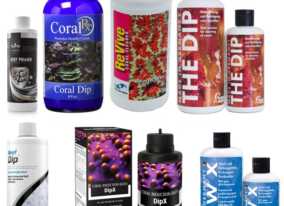 Dipping Corals with Various Coral Dips – Fauna Marin, Red Sea, Reef Primer, Coral RX & More