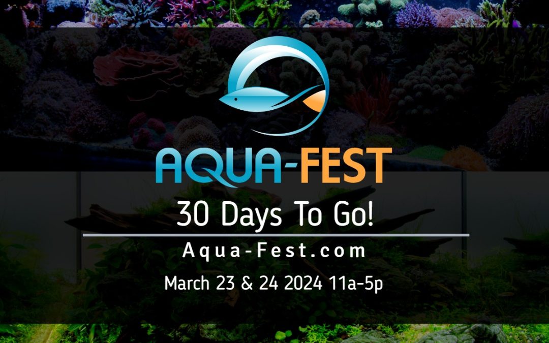 Aqua-Fest