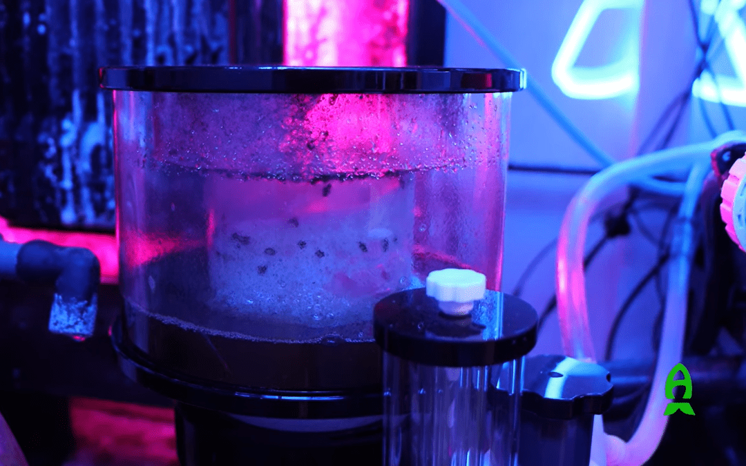 Close look into Smarter Reefs’ Self Cleaning Protein Skimmer V2