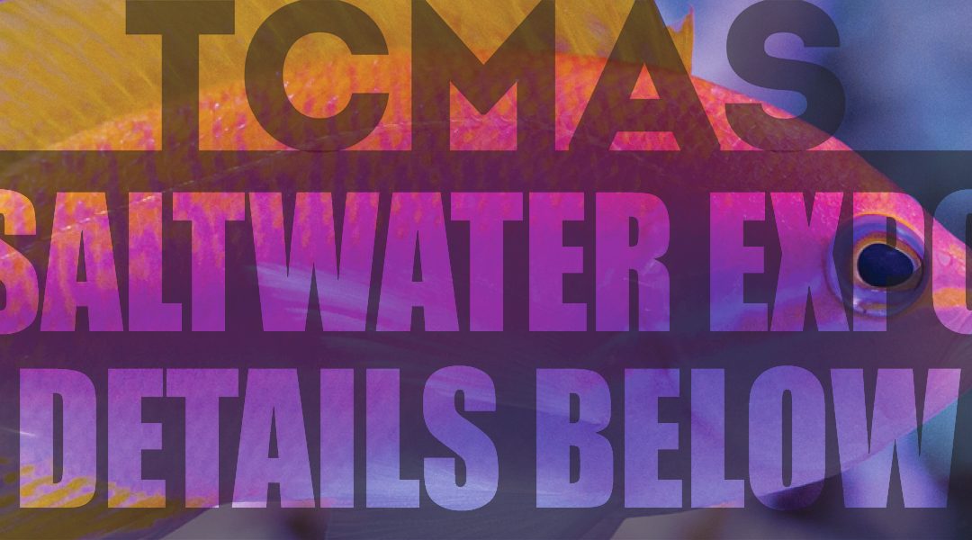 TCMAS Saltwater Expo