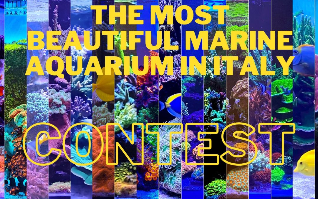 Italy’s Most Beautiful Marine Aquarium: Results and Upcoming Events