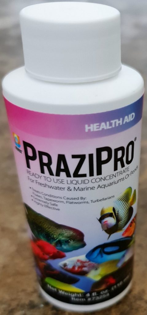 medication-supplement-saltwater-aquarium