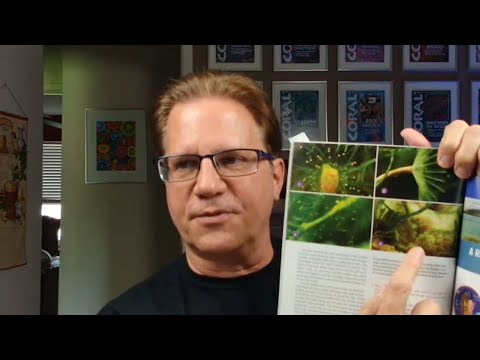 Why you should run a refugium