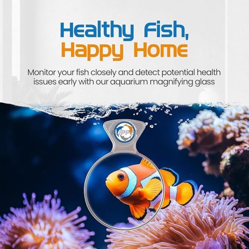 Image of Flipper reef magnifier
