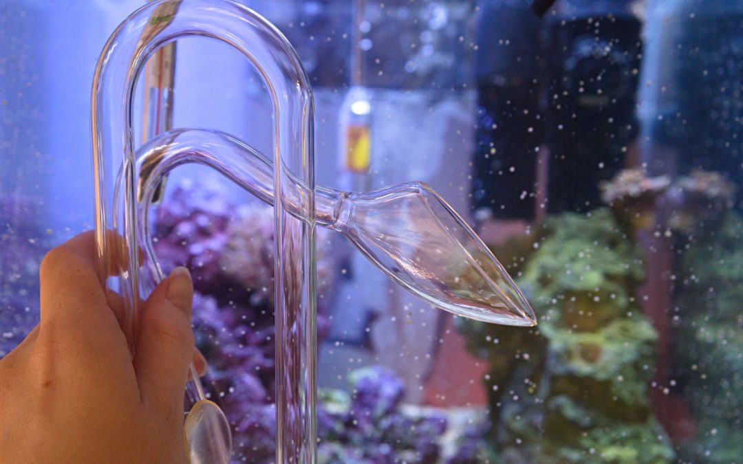 Glassware For Reefs Part 1: Lily Pipes In A Reef Tank?