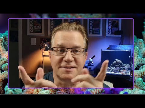 It’s time to tell you about my mystery project (I don’t know everything, don’t ruin it for me!)