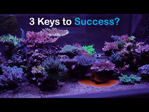 3 Keys to Success