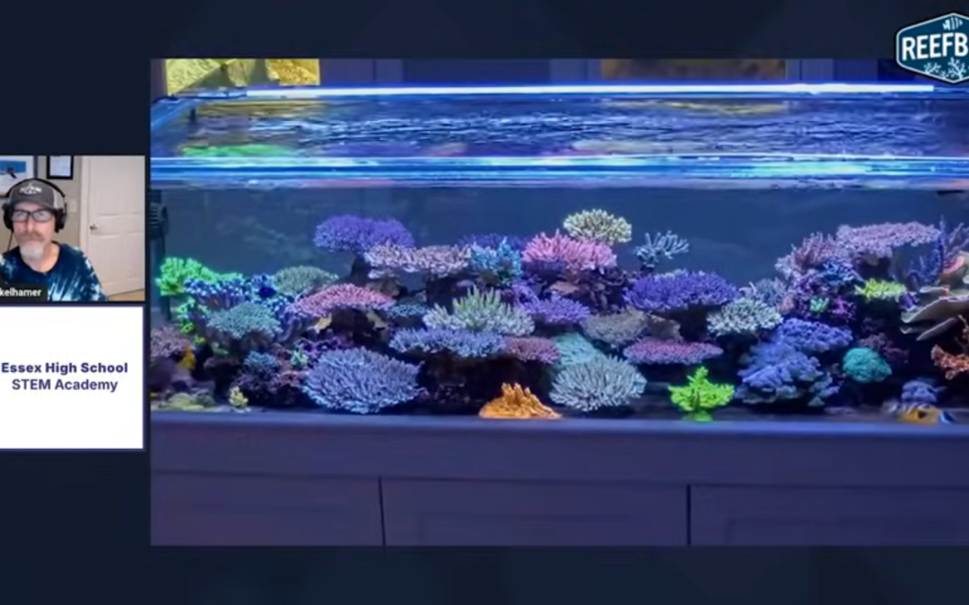 My Reef Keeping Lecture to Science Students!