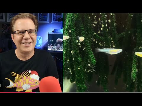 Are you ready for the holidays?