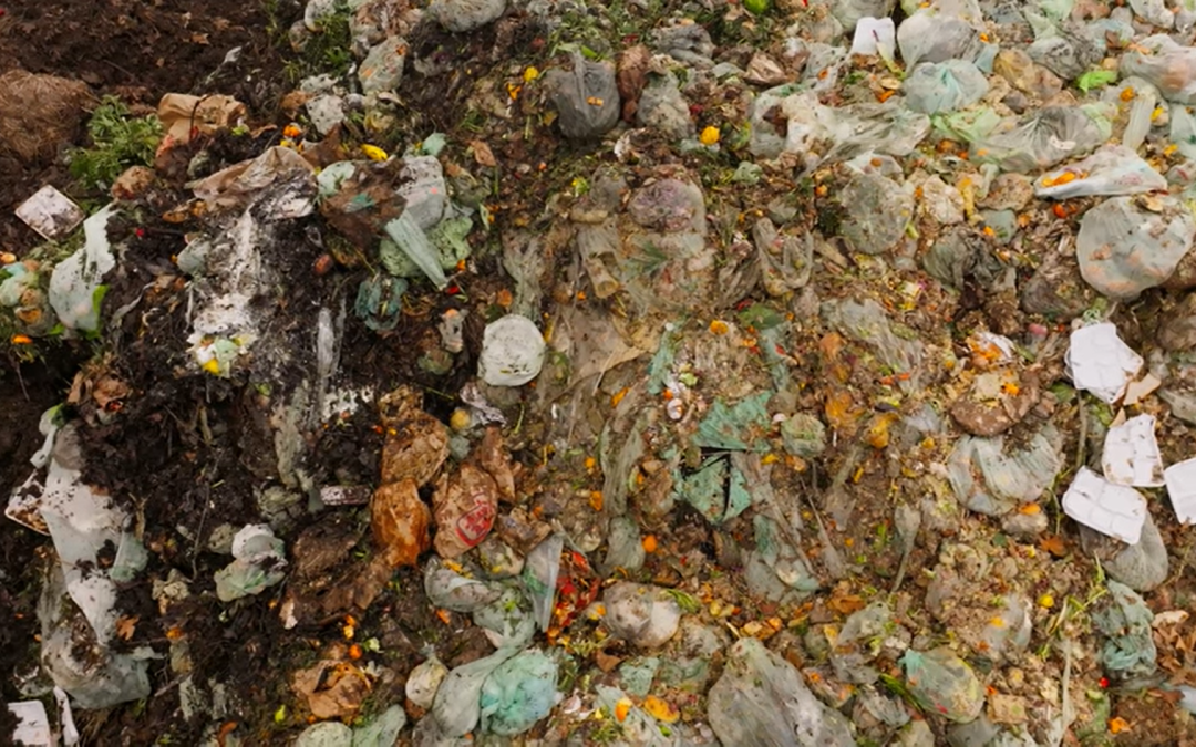 Seaside Sustainability