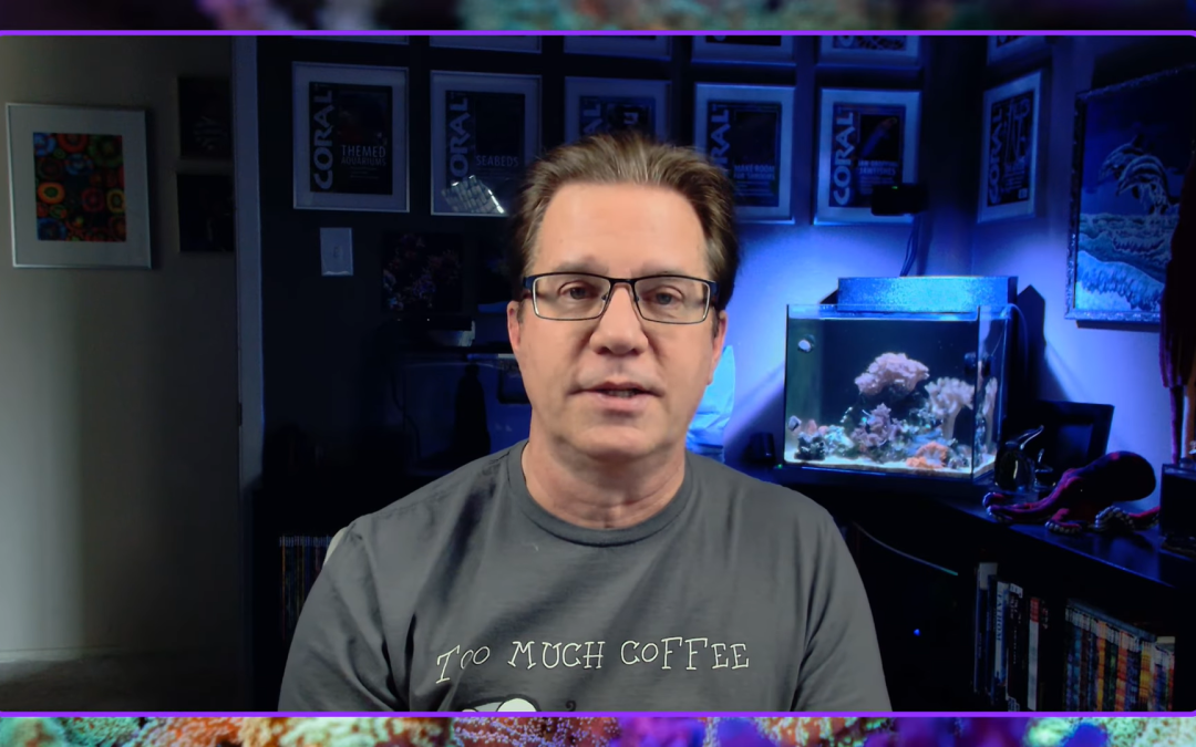 Aquarium lighting is very important for reefkeeping