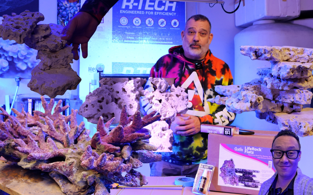 This time, it’s Nano tank overhaul with The Fish Store!
