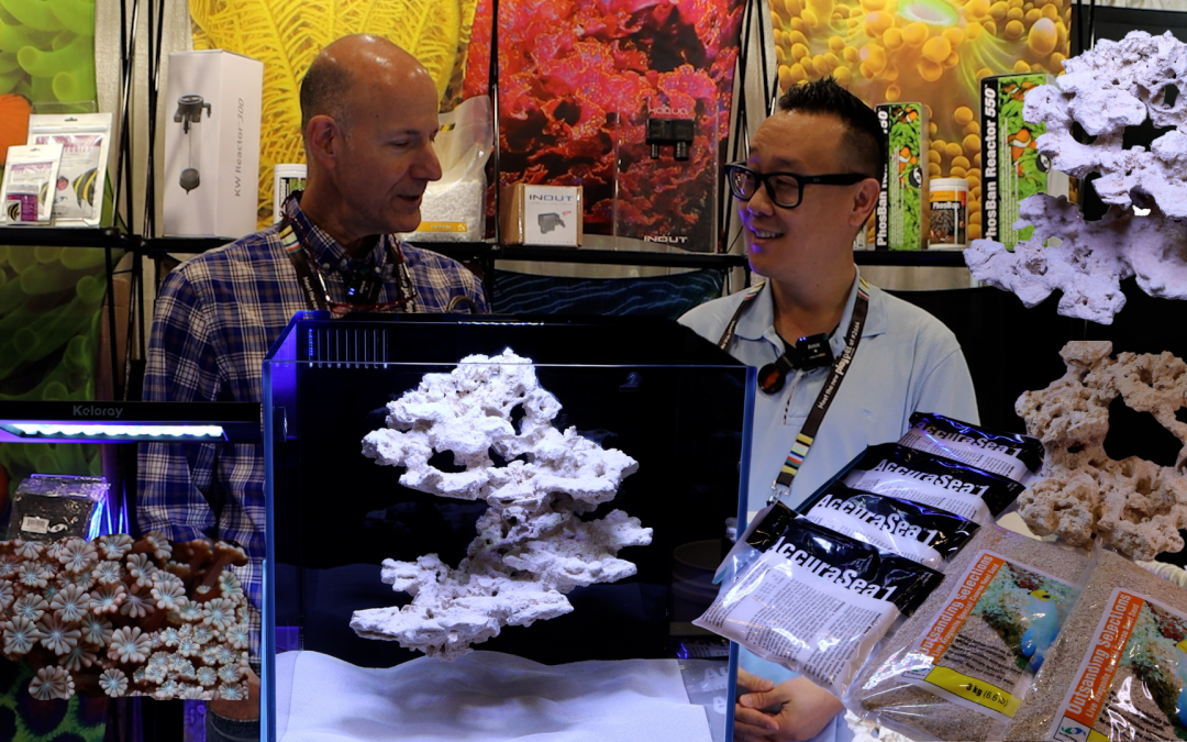 Global Pet Expo 2026 – New Product – “Little” by Two Little Fishies