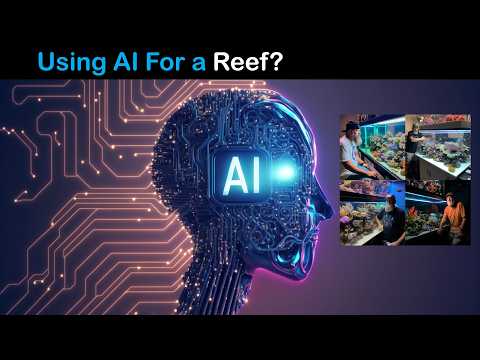 Can AI Help Run a Reef Tank?