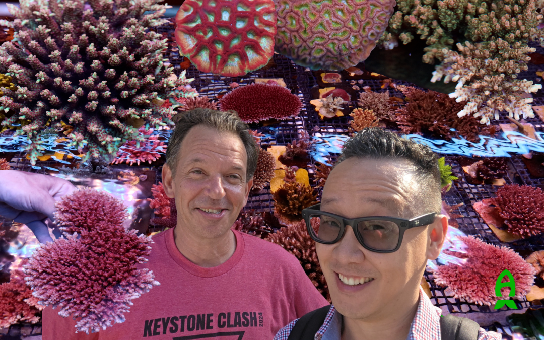 2026 Project ELOS Revival – Part 4 – Corals, shipping and stories with Chris Meckley of ACI Aquaculture