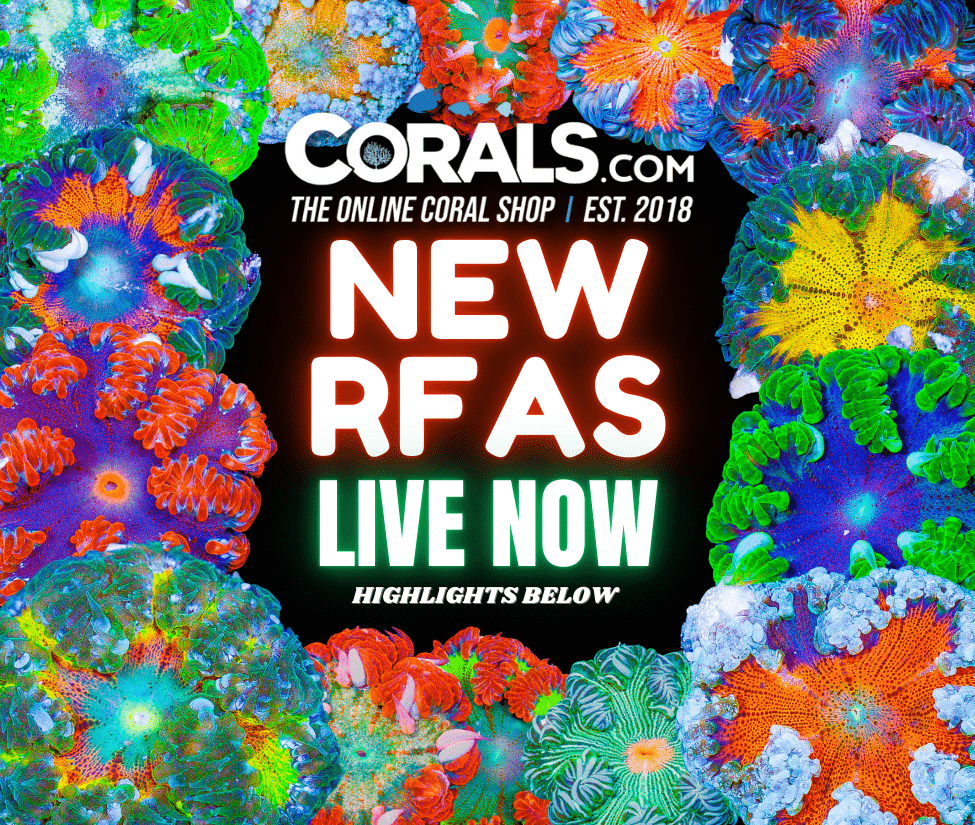 new corals 9.19.png