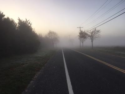 Foggy road.jpg