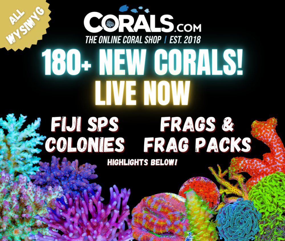 new corals 8.27(3).png