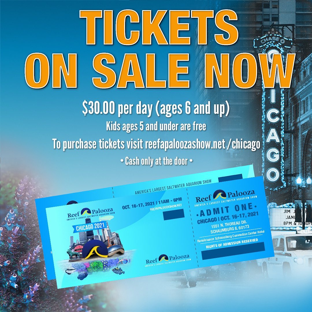 Chicgo-2021 Tickets On Sale.jpg