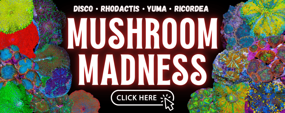 mushrooms(2).png
