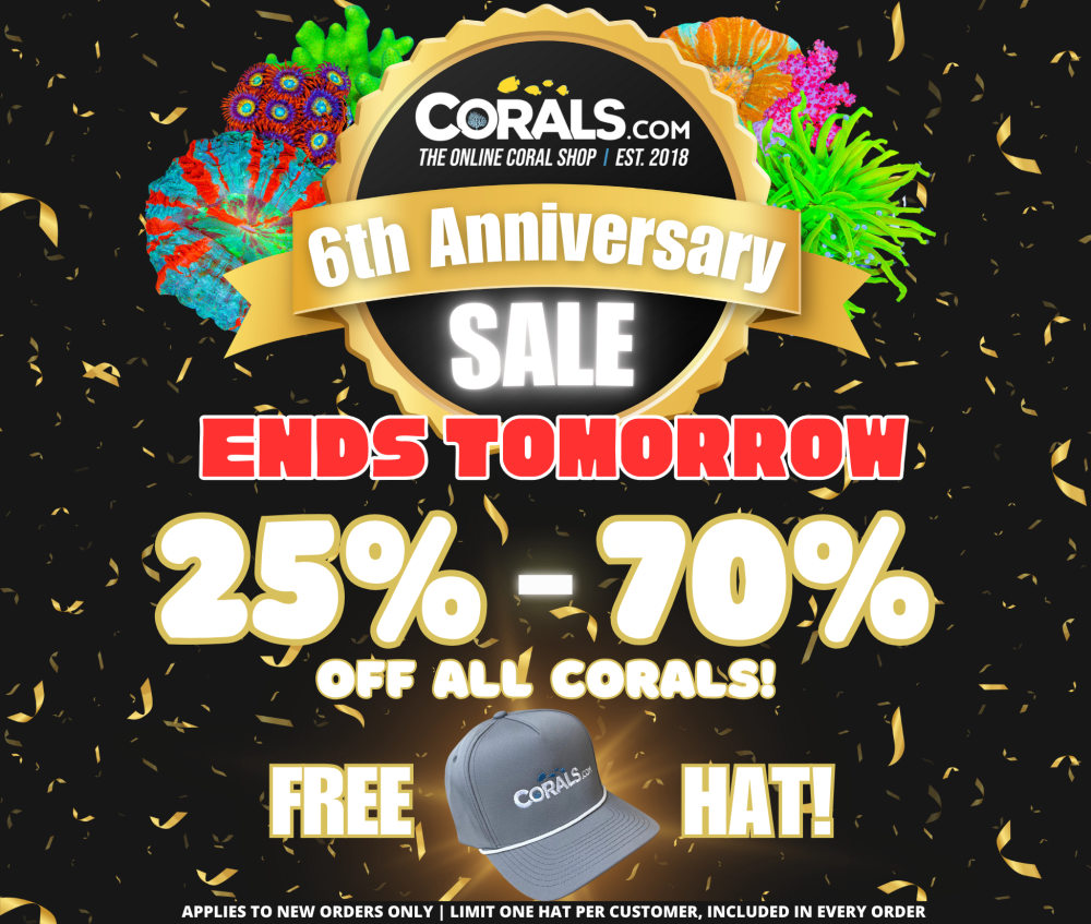 Anniversary Sale 2024 Ends Tomorrow(1).png