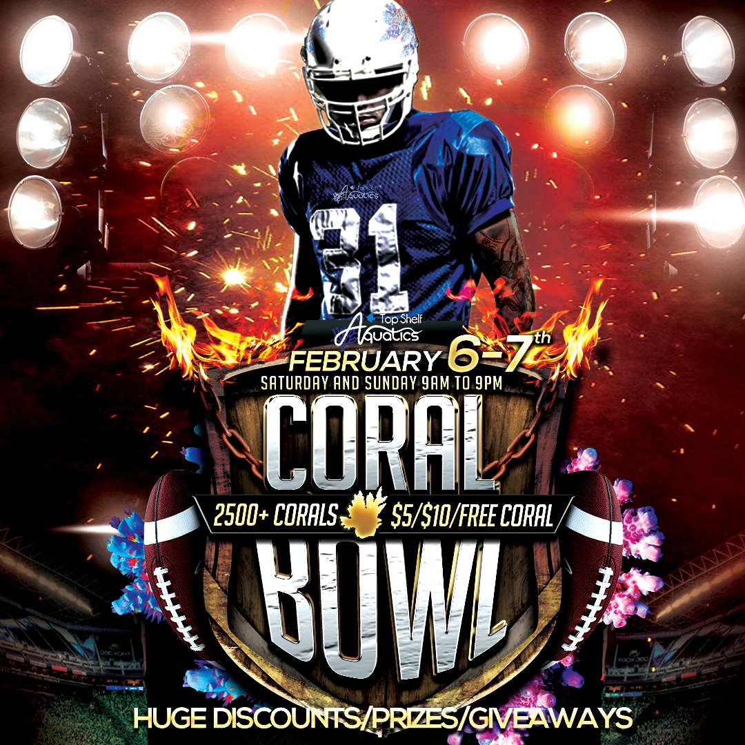 CORALBOWL_Facebook_1080x1080.jpg