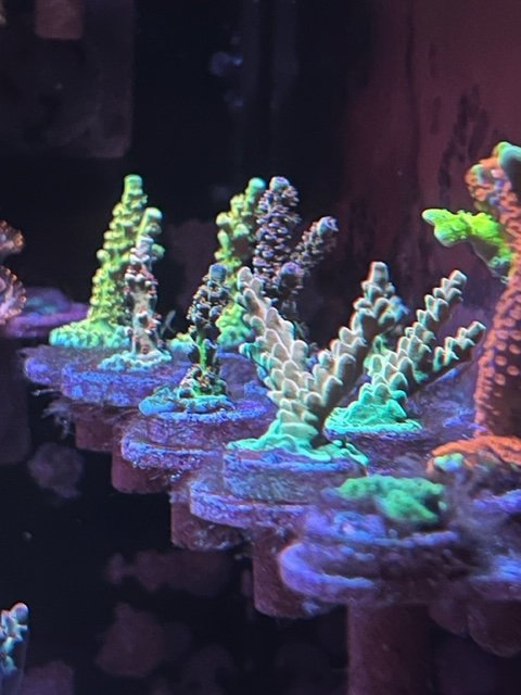 image0 (2).jpeg