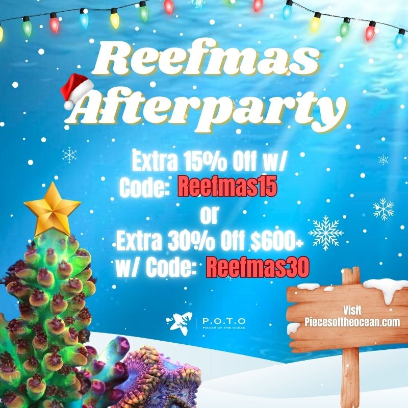 reefmas-afterparty-square.jpeg