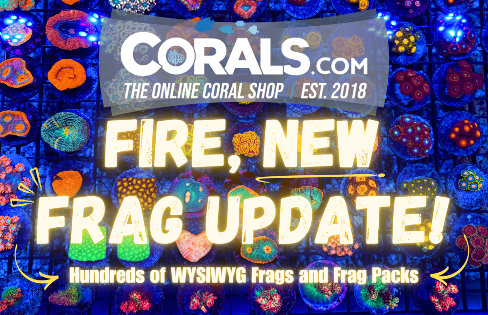 New Frag Graphic(2).png