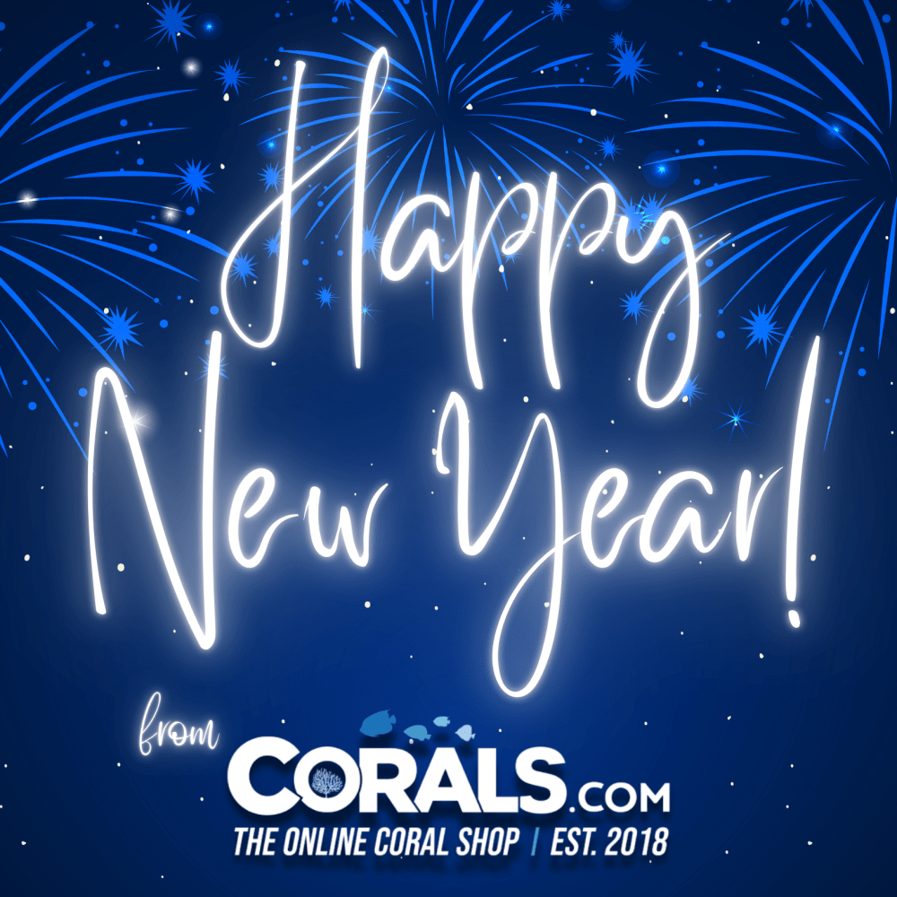 Happy New Year 25'.png