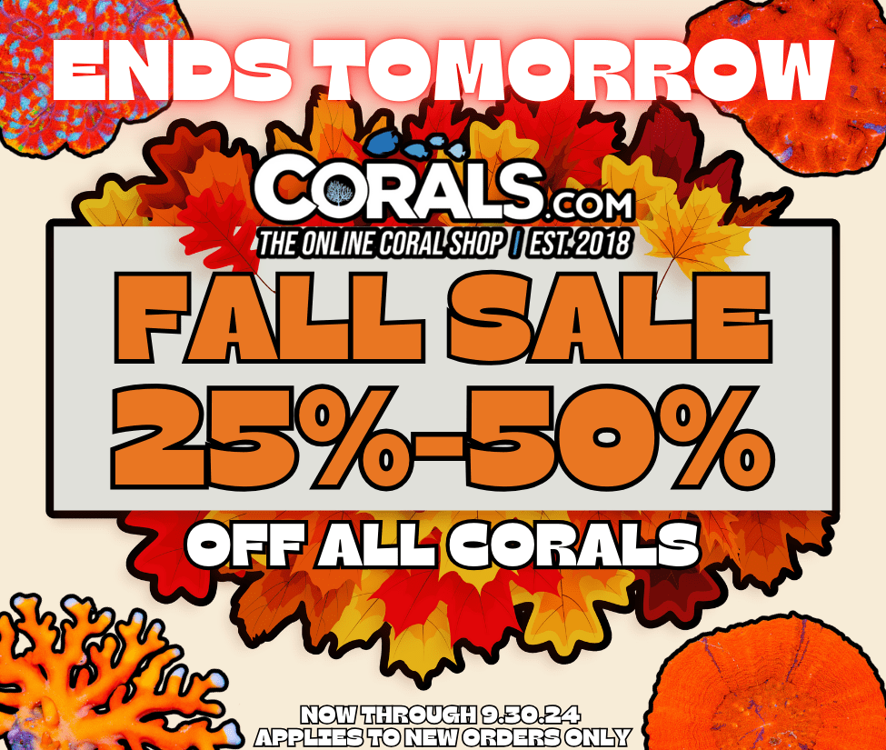 Fall Sale 24'.png