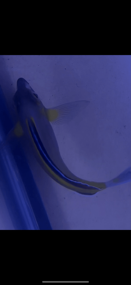 IMG_2973.png