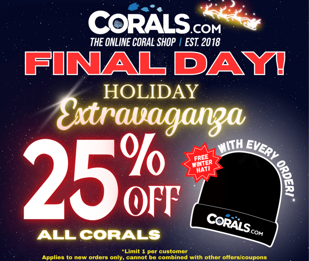 holiday sale final day(3).png