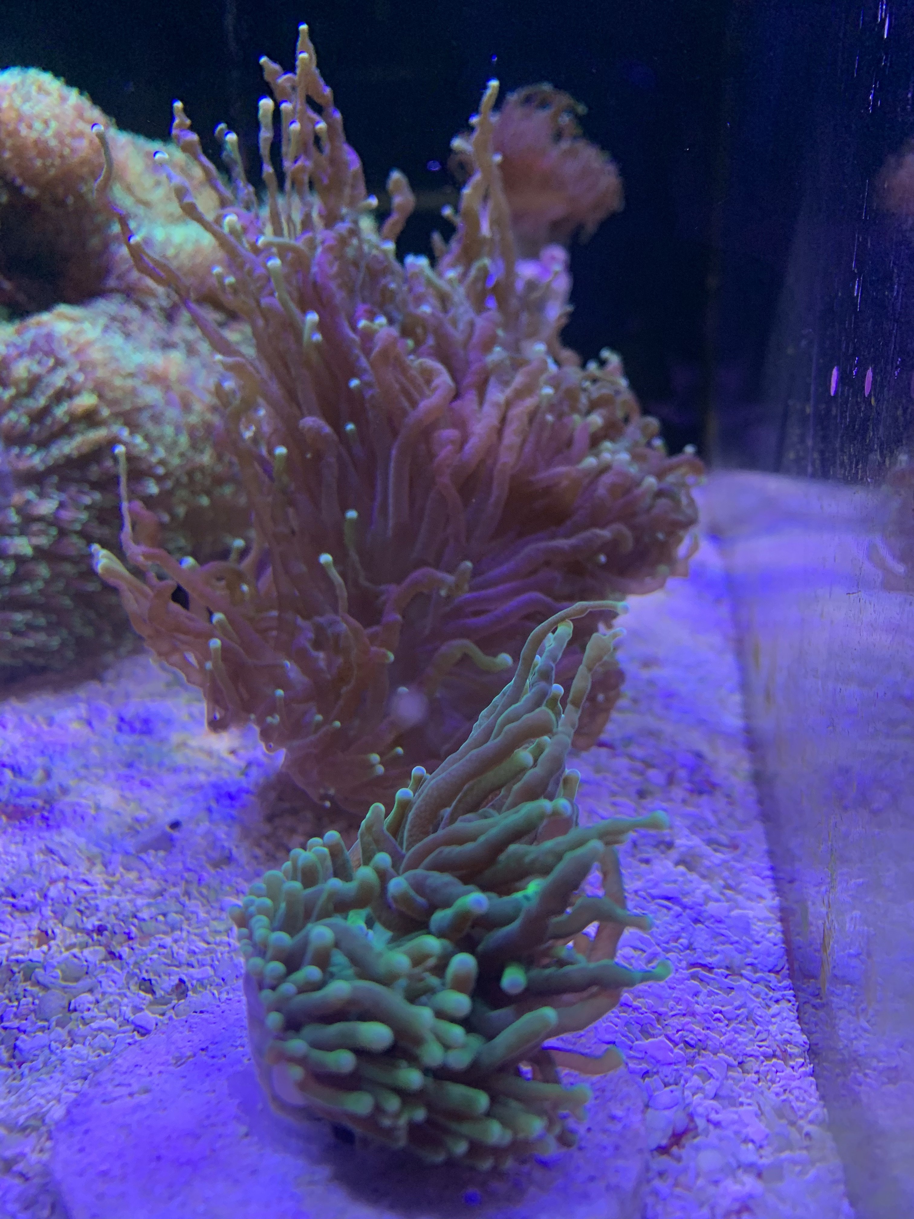 IMG_5860.jpeg