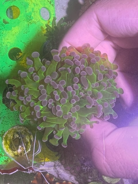 IMG_4936.jpeg IMG_4936.jpeg
