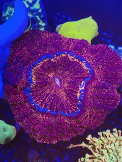 IMG_0885.jpeg