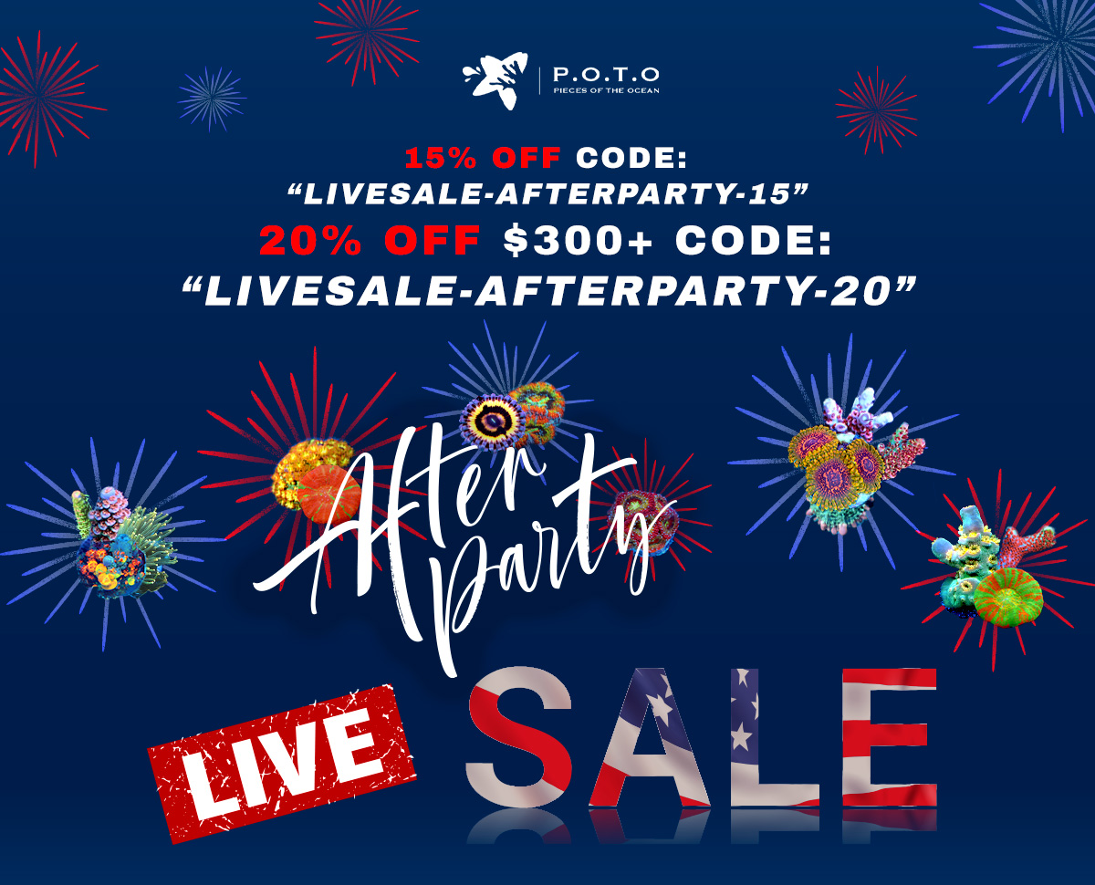 july4-livesale-square-afterparty.jpg