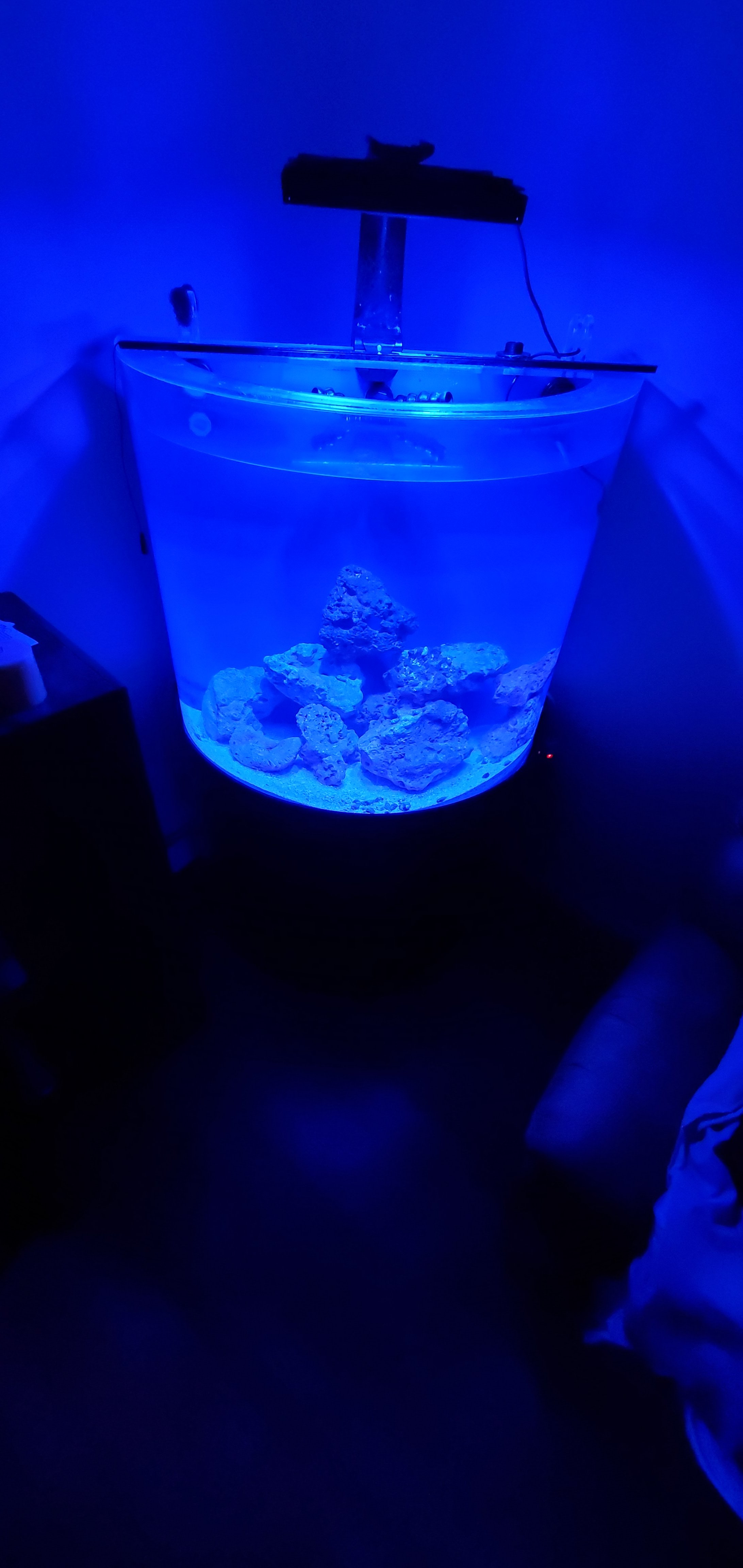 20201210_105111.jpg