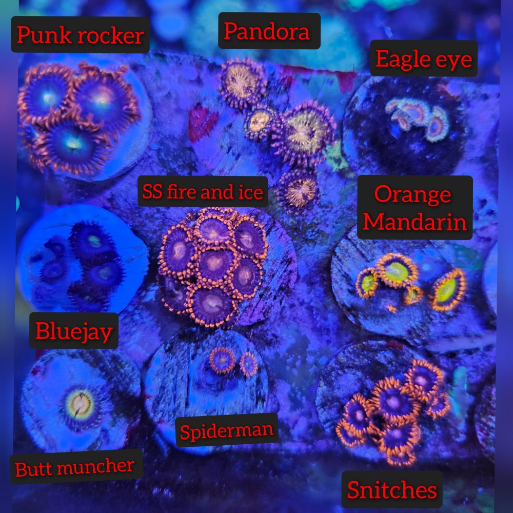GridArt_20240625_093717485.jpg