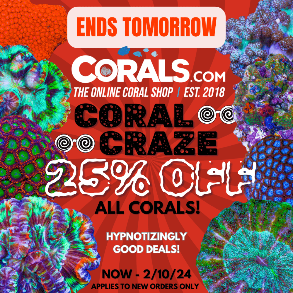 New Colonies Coral Craze 2.24.png