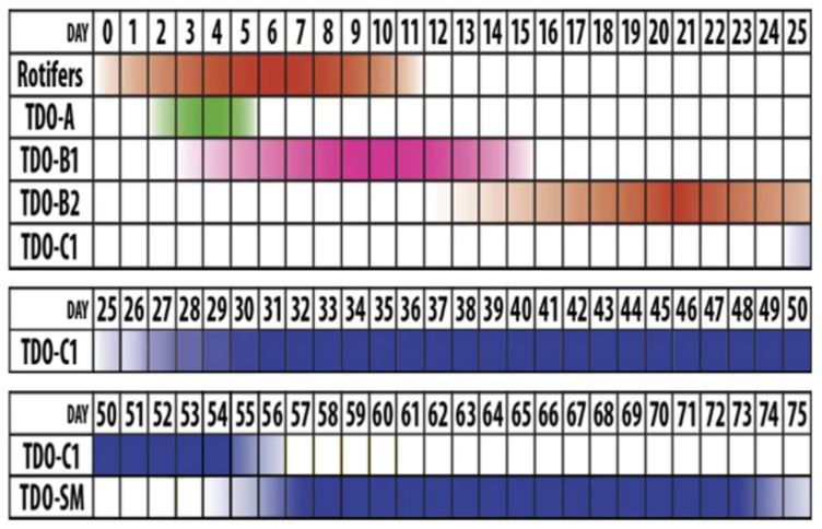 Clown Schedule Feeding.JPG